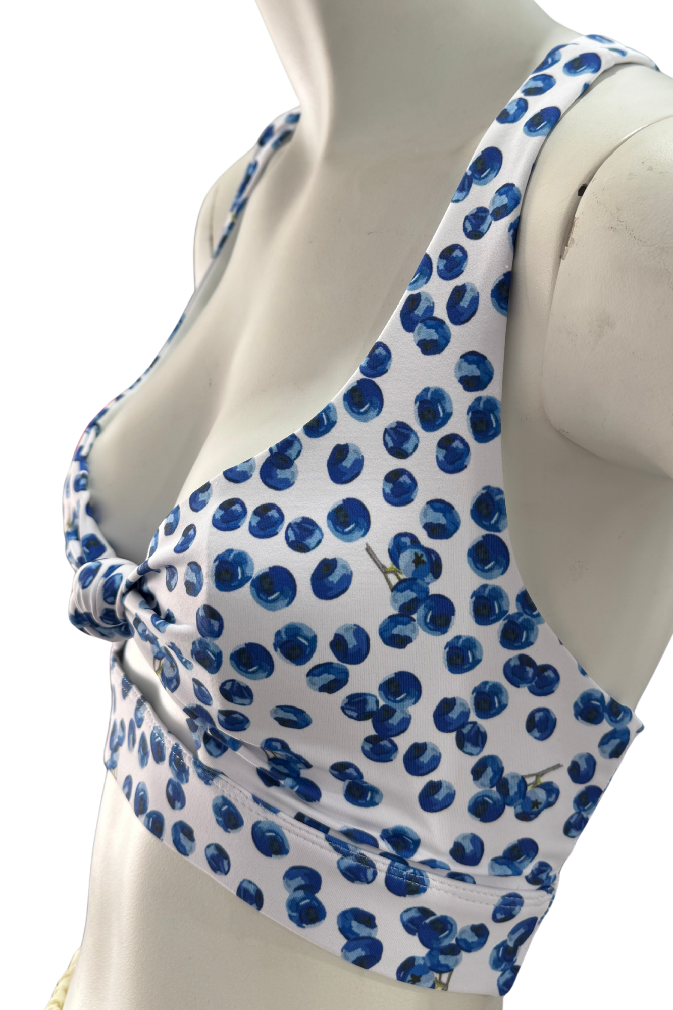 Blueberry Sports Bra