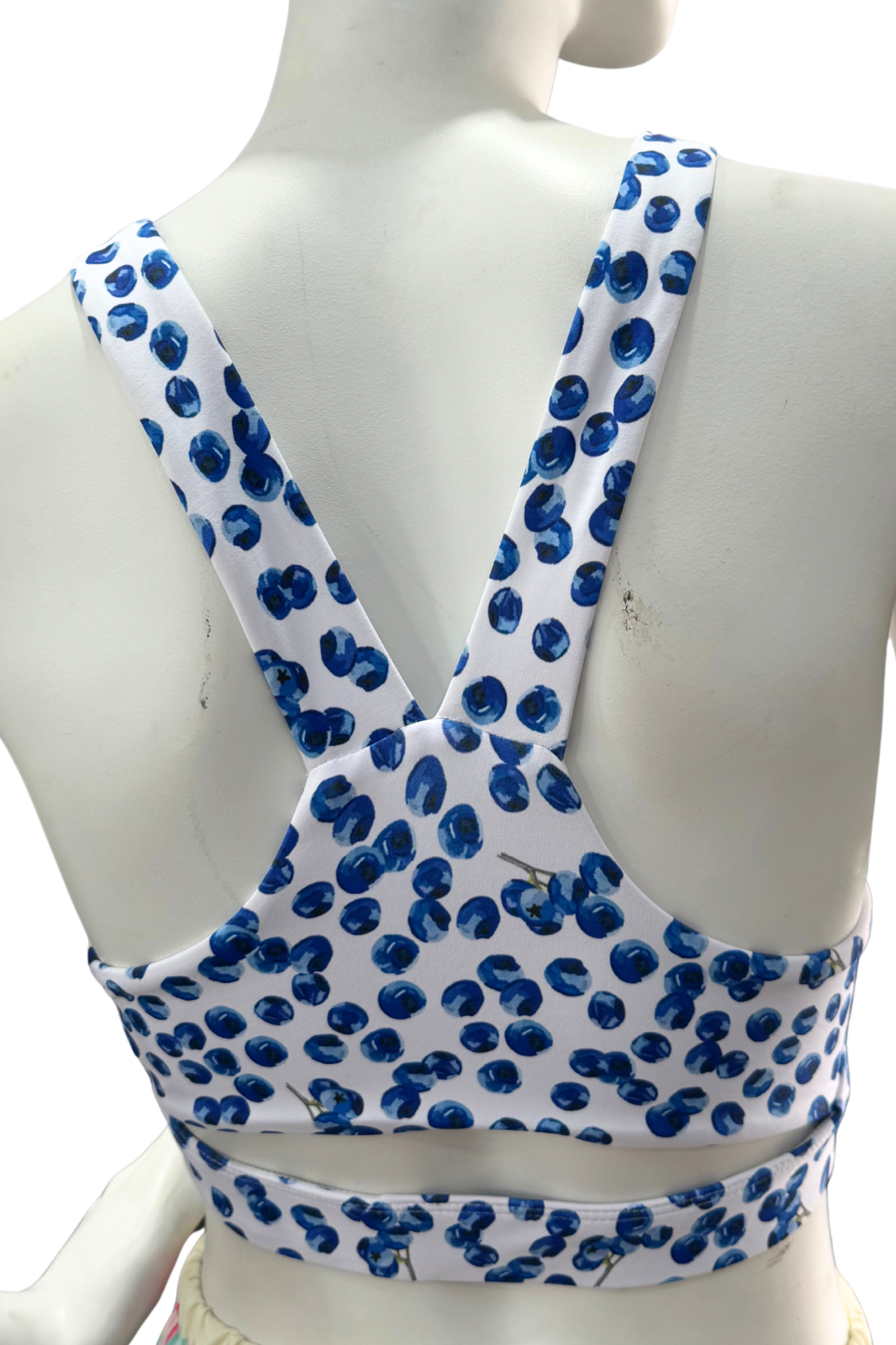 Blueberry Sports Bra