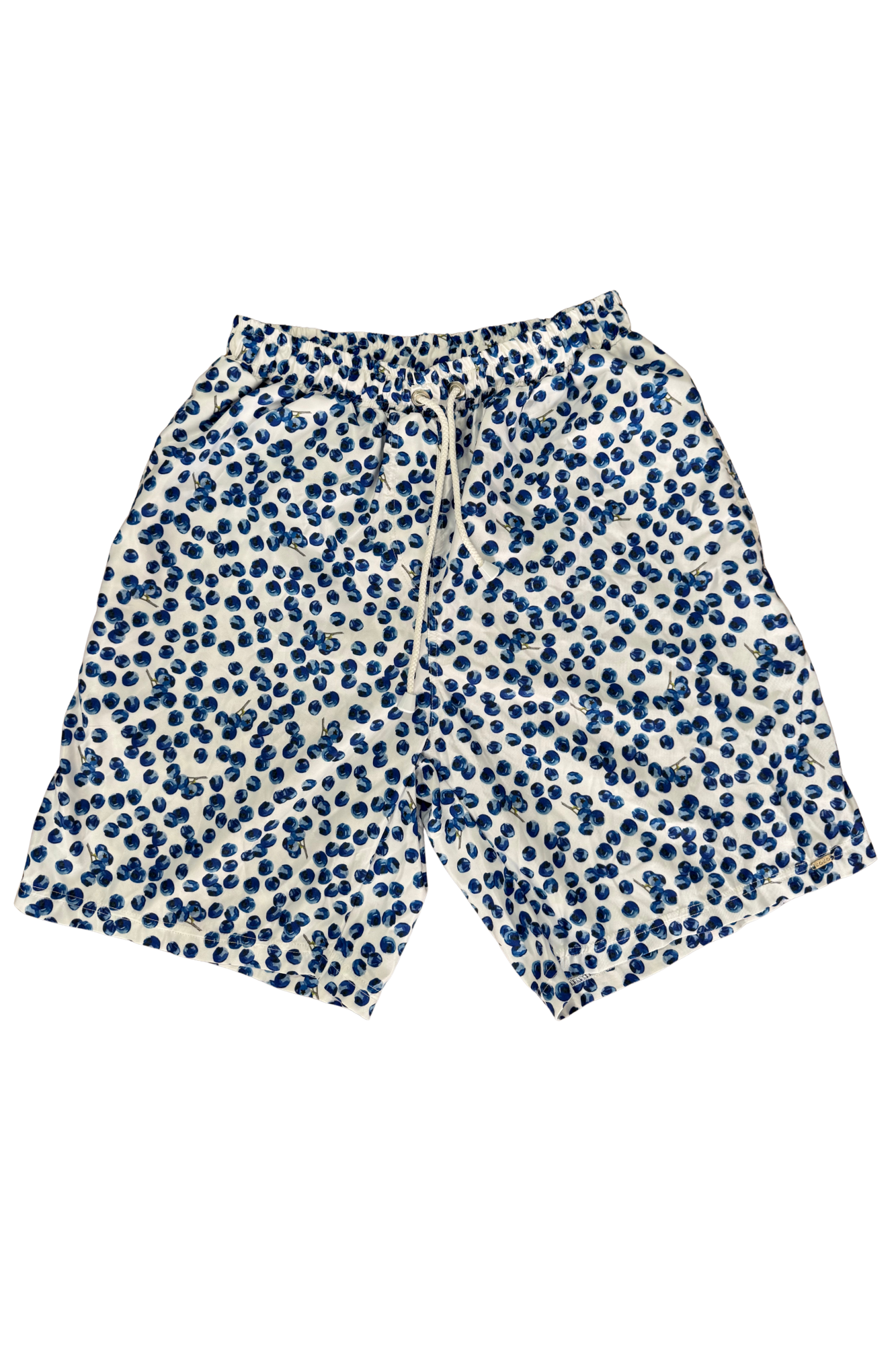 Blueberry mens swim shorts