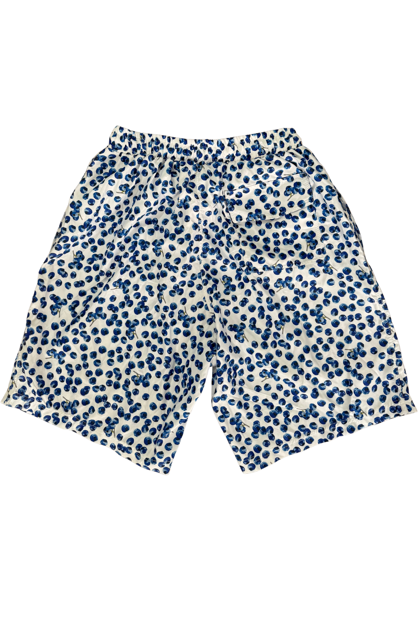 Blueberry mens swim shorts
