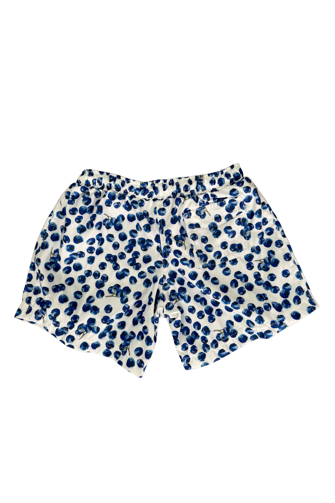 Blueberry boys swim shorts