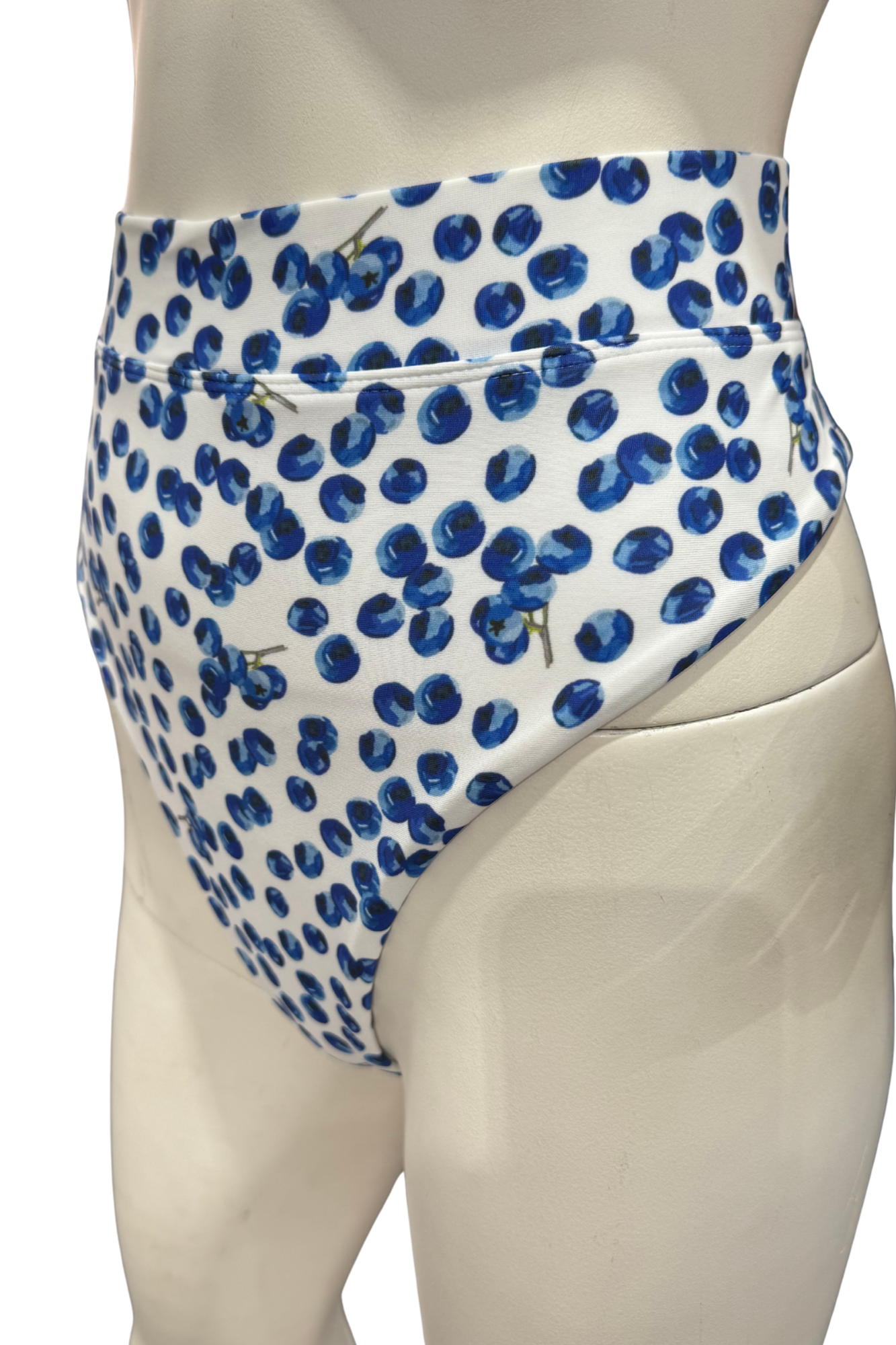 Blueberry Bikini Bottoms
