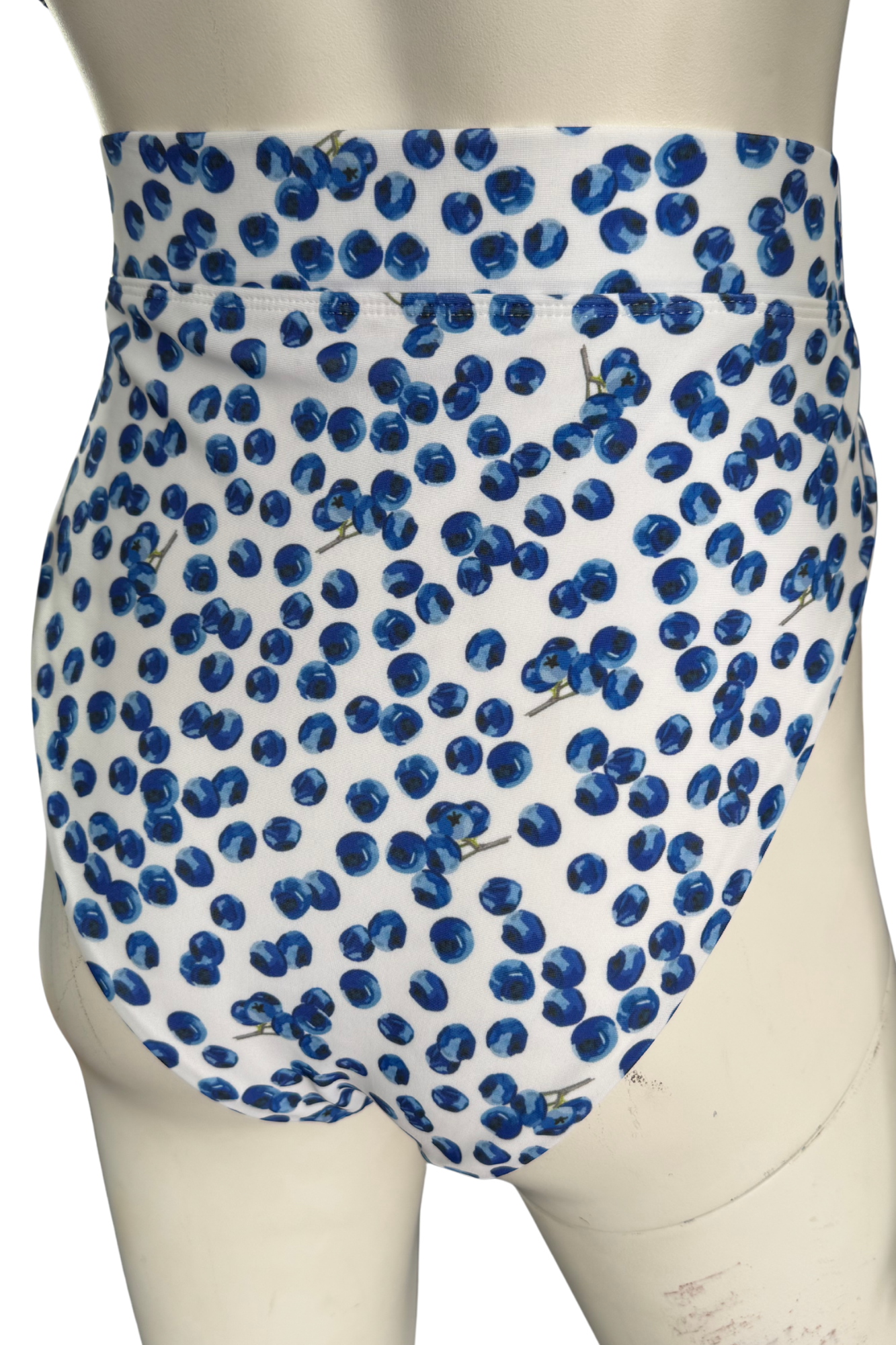 Blueberry Bikini Bottoms