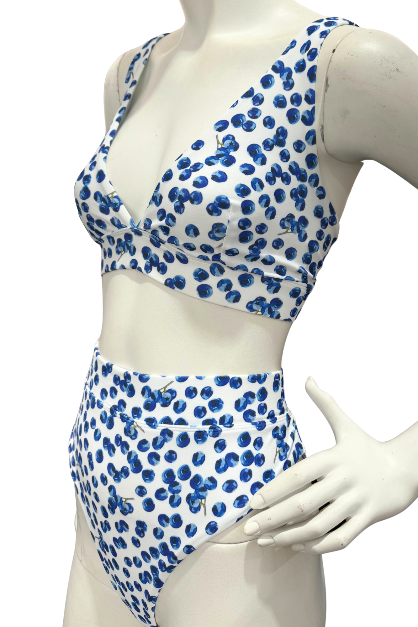Blueberry Bikini Bottoms